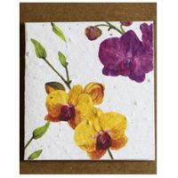 Growing Paper Orchid Mini Card